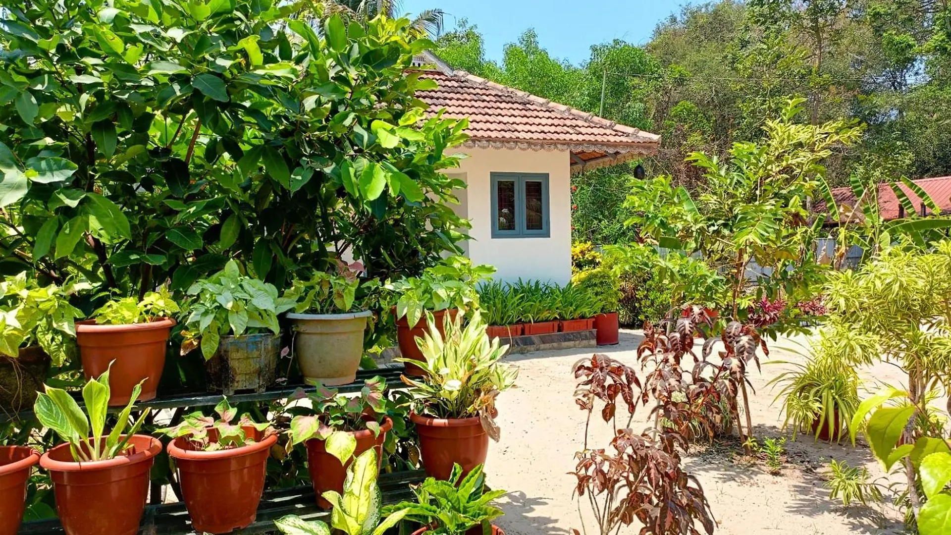 Marari Yoga Homestay Mararikulam