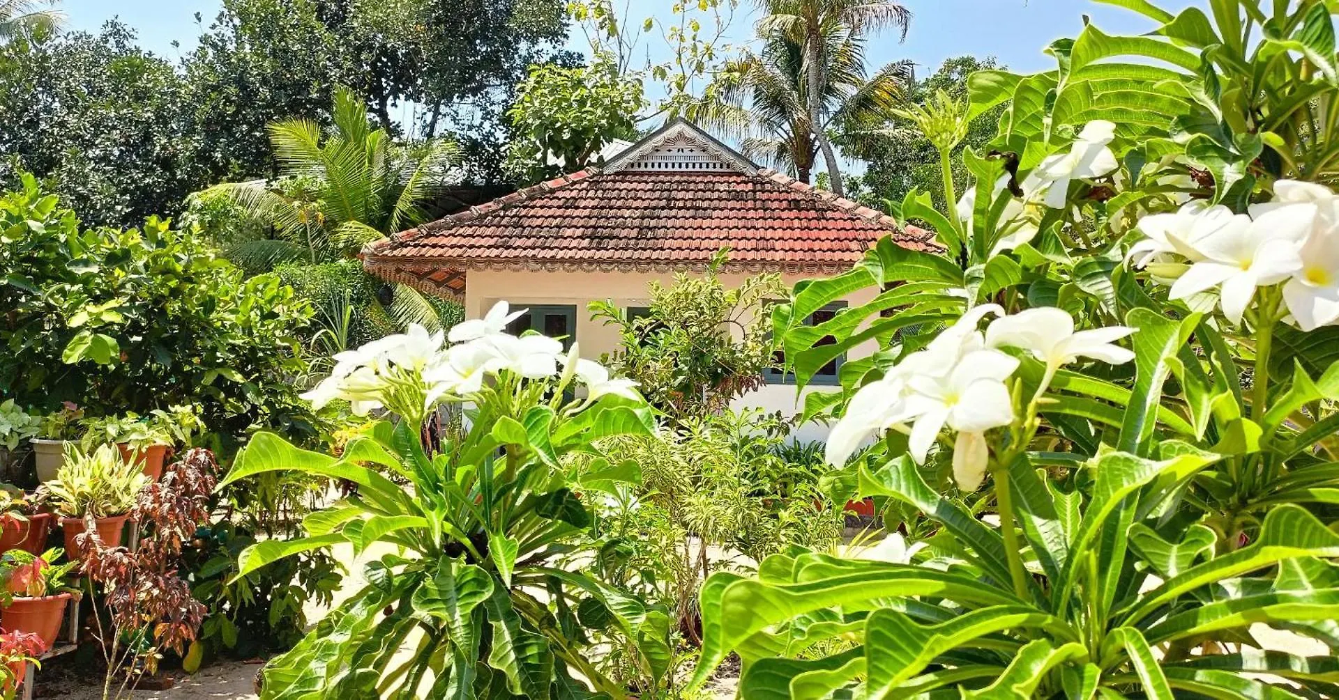 Marari Yoga Homestay Mararikulam