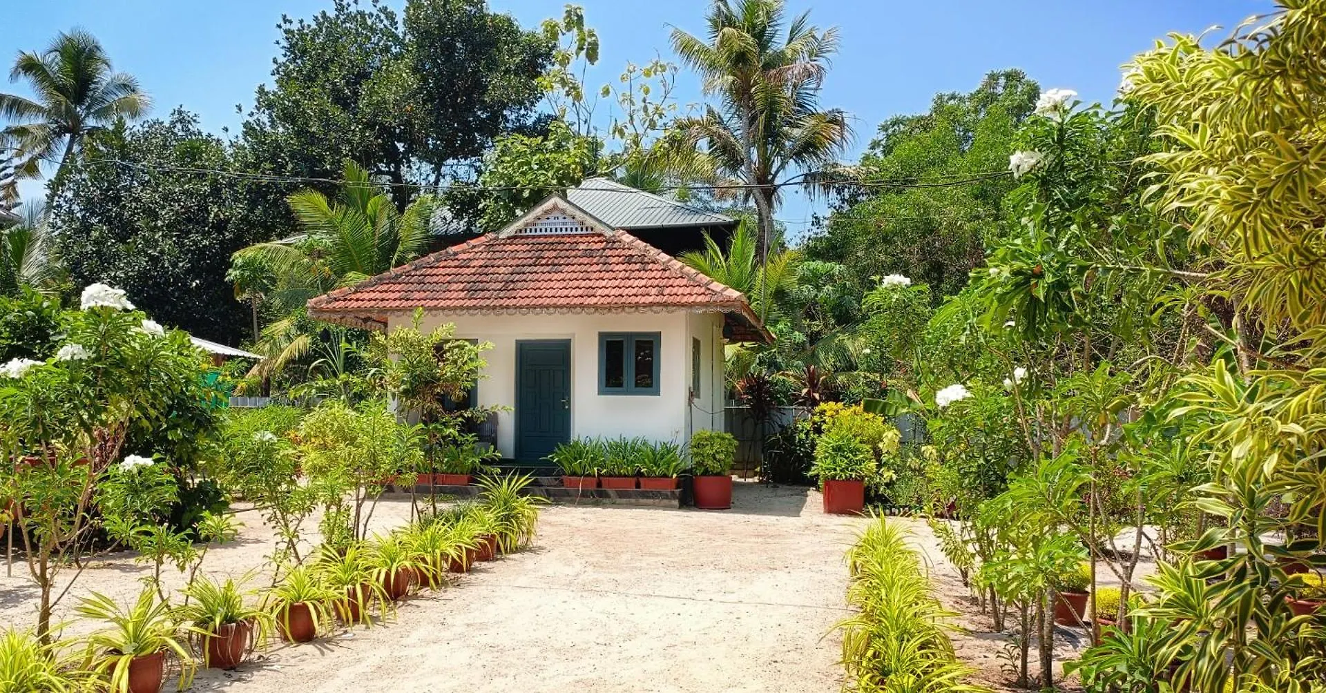 Marari Yoga Homestay Mararikulam